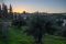 Orson Hyde Gardens and Sunset