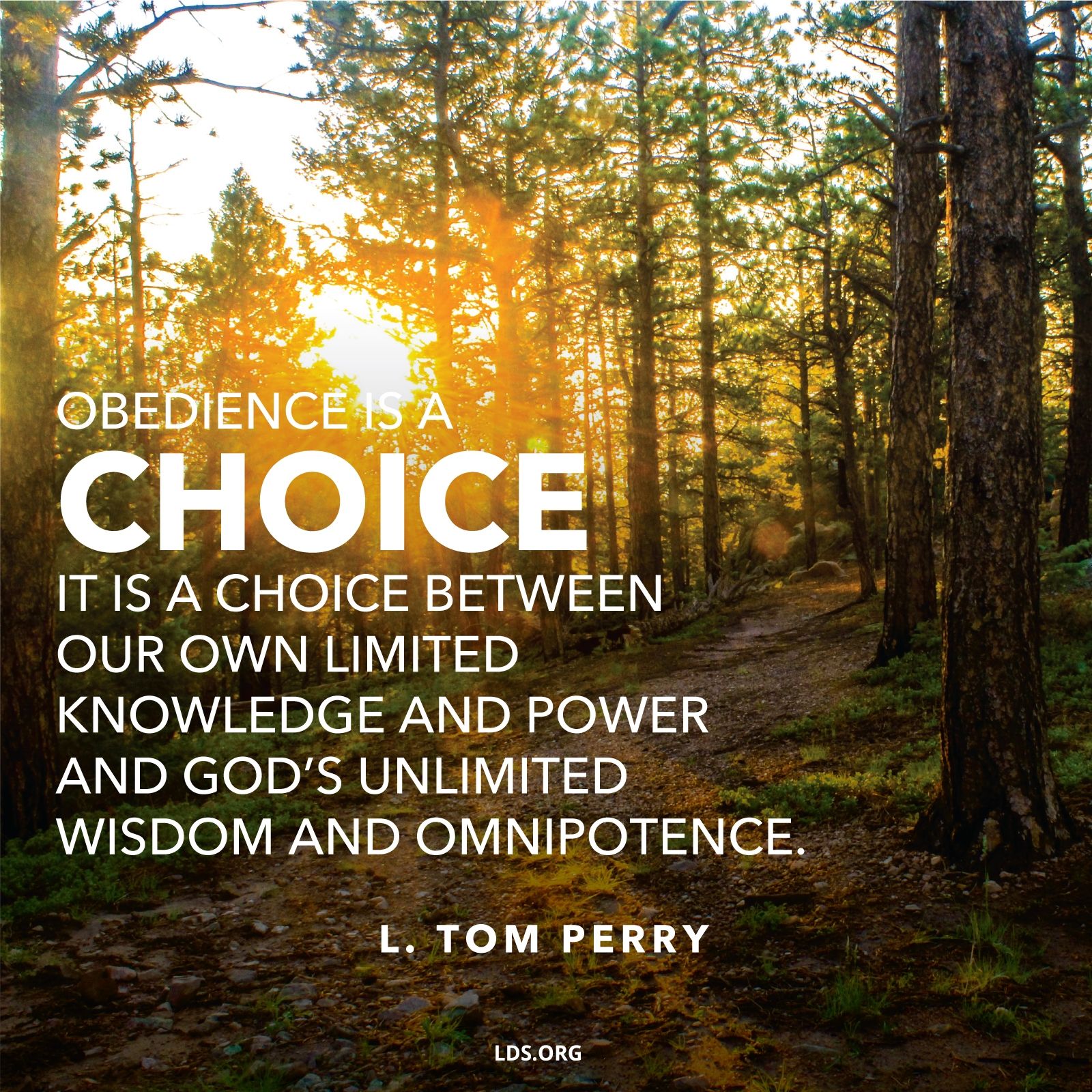 obedience-is-a-choice