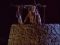 Watchman on the Tower