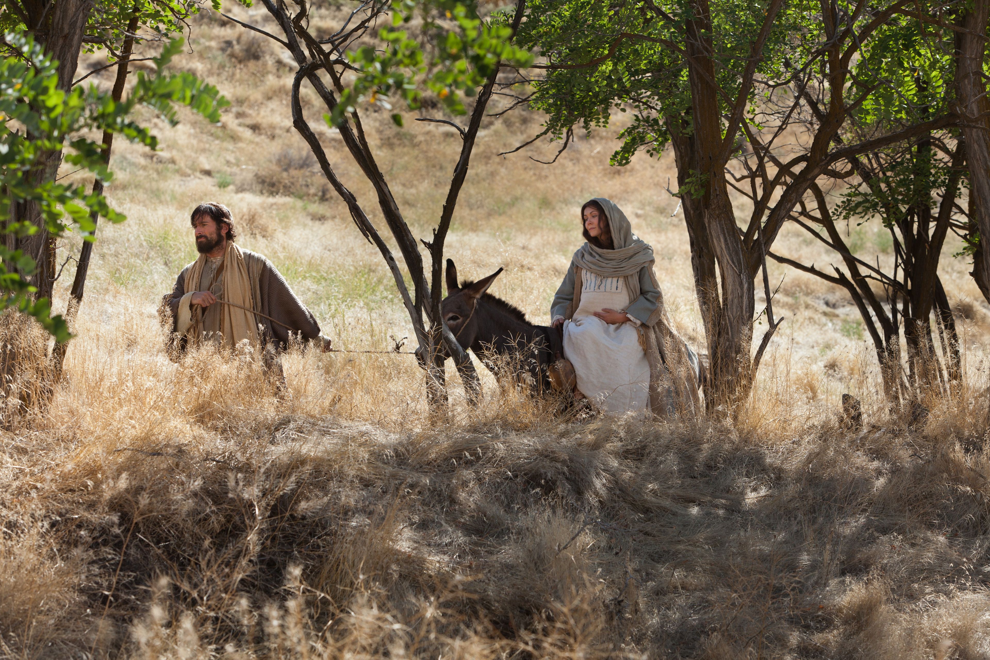 Life Of Jesus Christ: Journey To Bethlehem