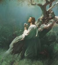 Christ in Gethsemane