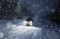 Car lights in winter forest