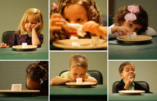 Marshmallow-Experiment