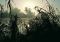 Nile River