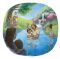 Alma Baptizes Many People
