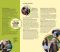 Ensign Magazine, 2017/10 Oct