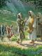 Leper Who Said "Thank You", The
