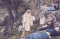 Jesus Commanding His Disciples to Rest