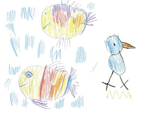Creation picture, animals