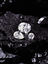diamonds among rocks