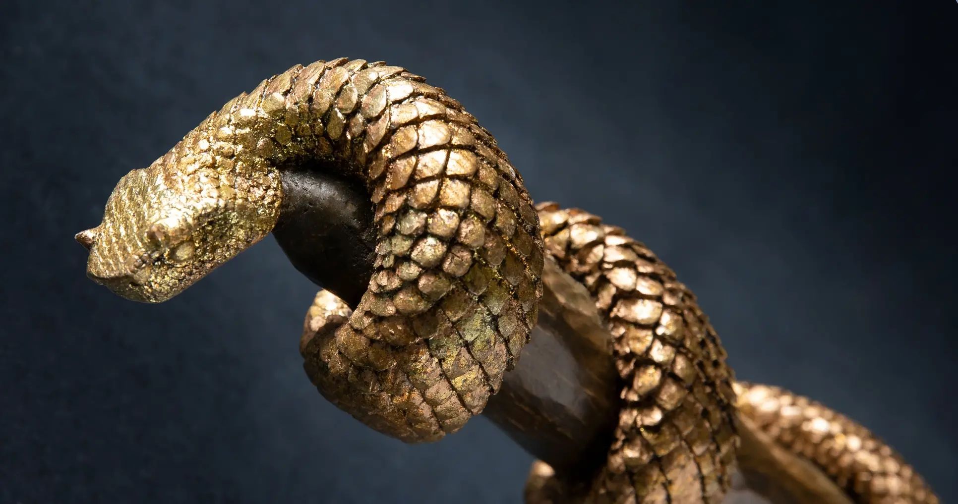 bronze-serpent