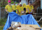Florida: Mormon Helping Hands