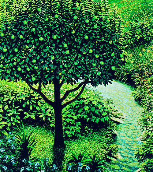 tree and river