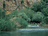 headwaters of Jordan River