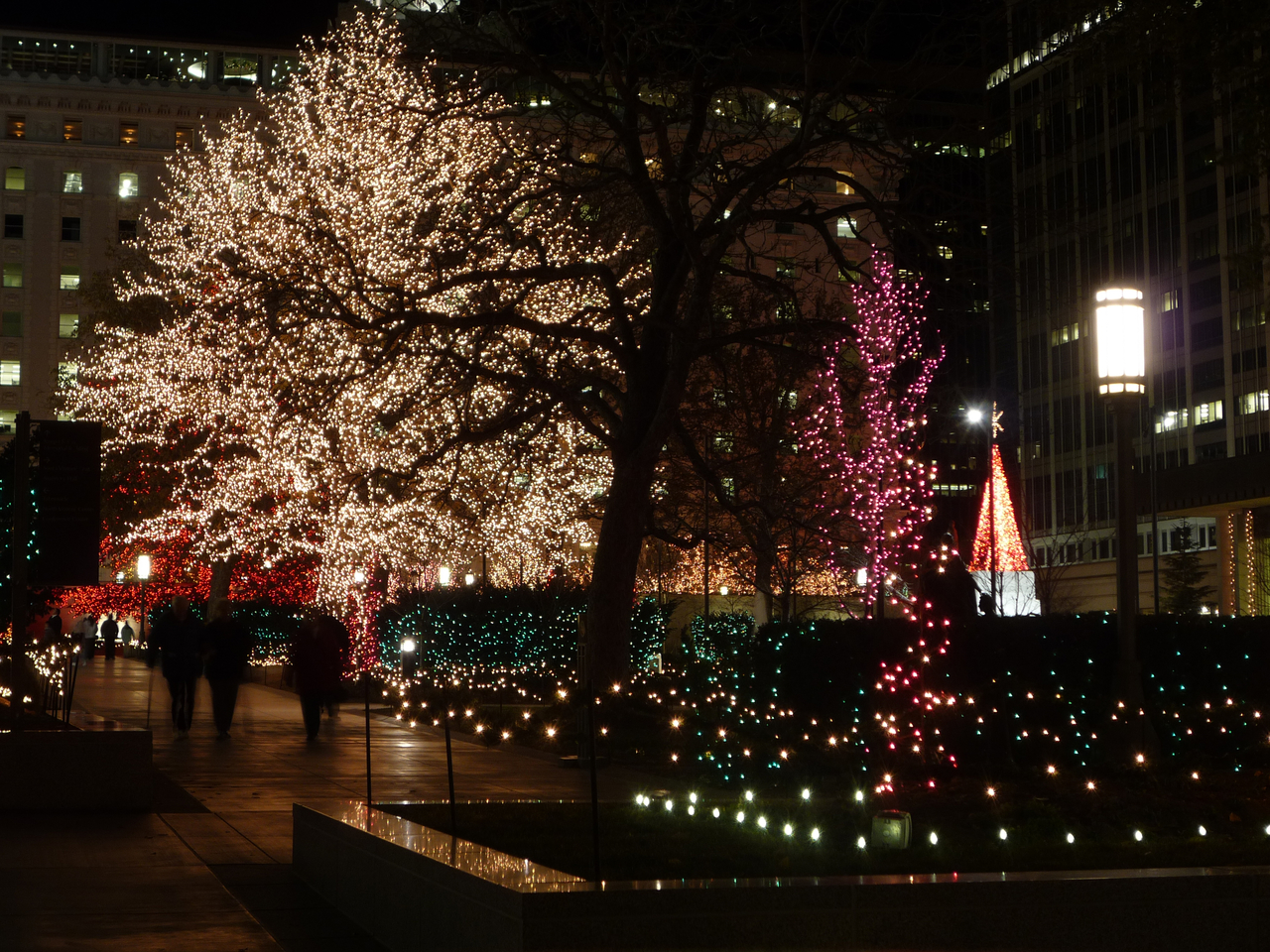 Temple Square at Night in December