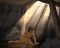 Old Testament Stories: Jeremiah the Prophet