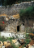Garden Tomb