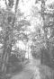 Country road to Cumorah