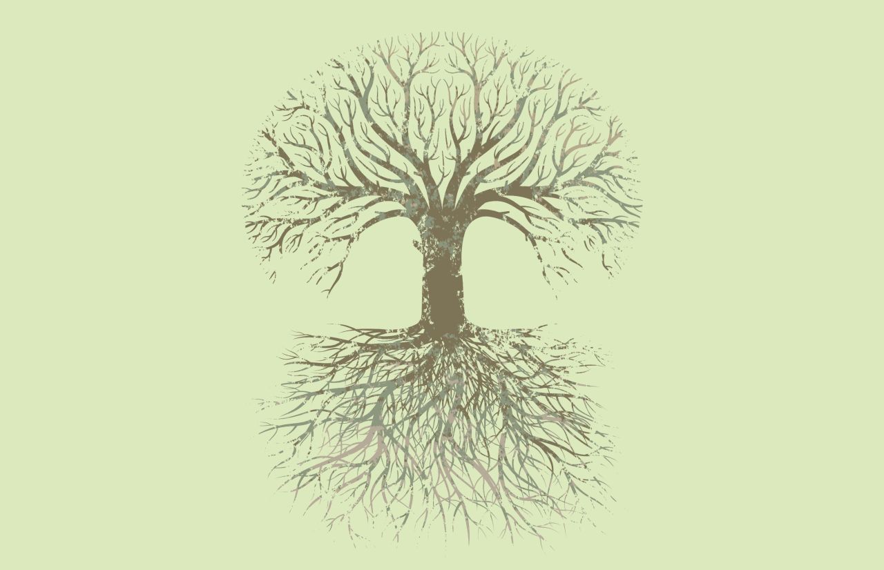 Family tree
