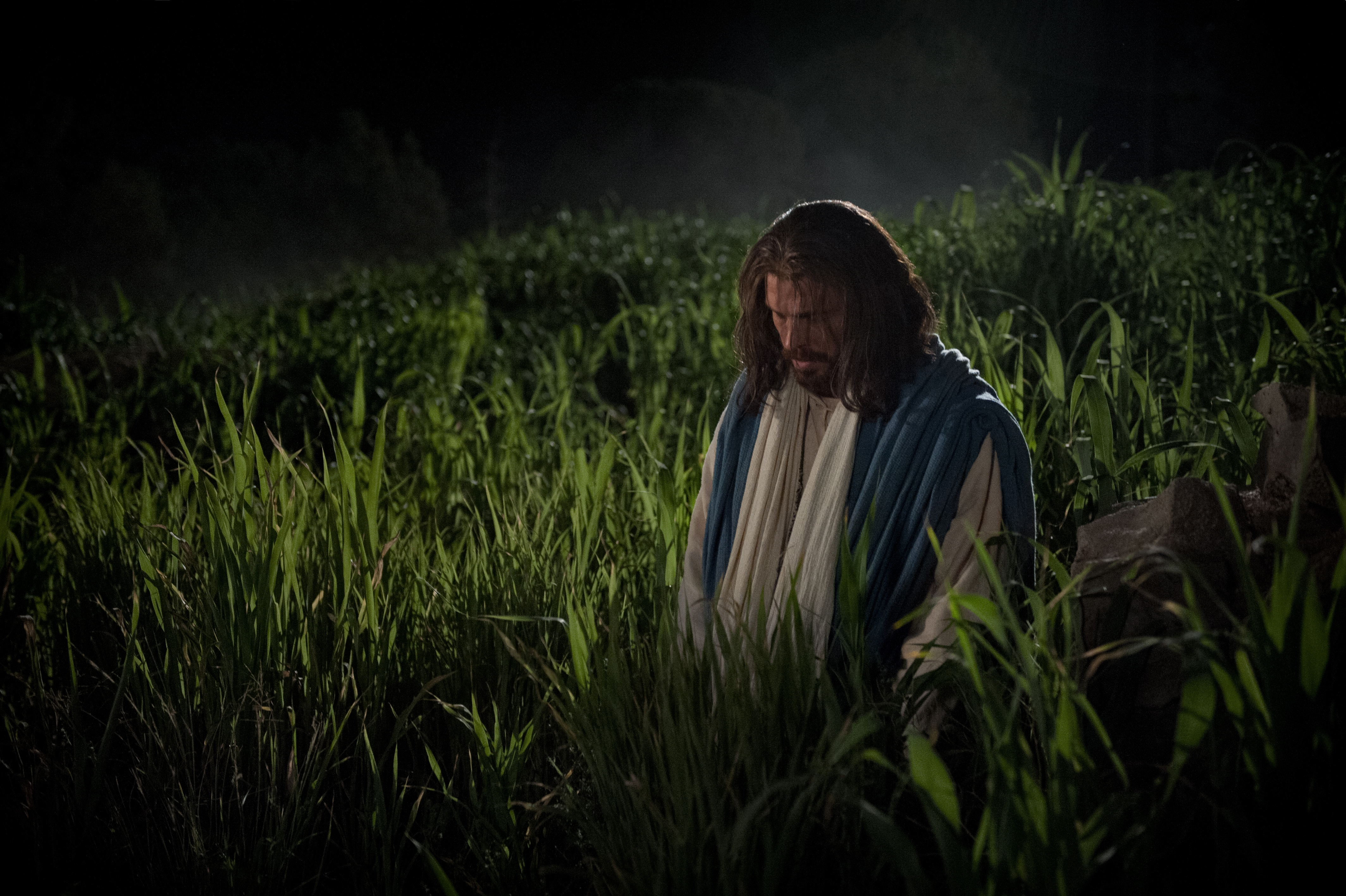 Jesus Christ fulfilling his mission by preparing to suffer in the garden of Gethsemane