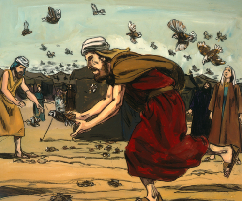Israelites catching quails