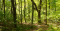 Pennsylvania. Susquehanna Co. Oakland Township. Priesthood Restoration Site