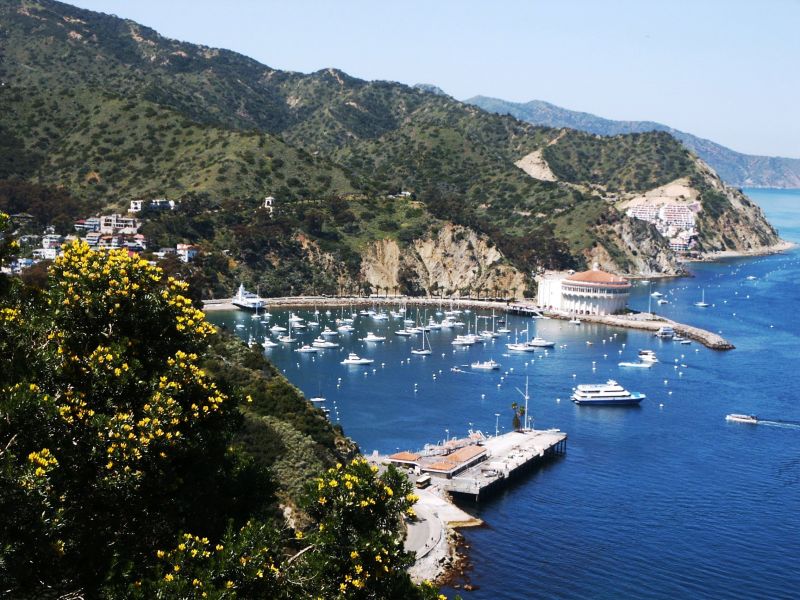 Santa Catalina Island