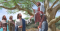 Finding Hope in a Troubled Family