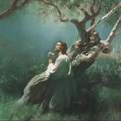 Jesus Christ suffers for the sins of the world in the Garden of Gethsemane
