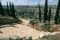 Mount of Olives