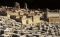 Model City of Jerusalem