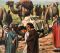 Old Testament Stories