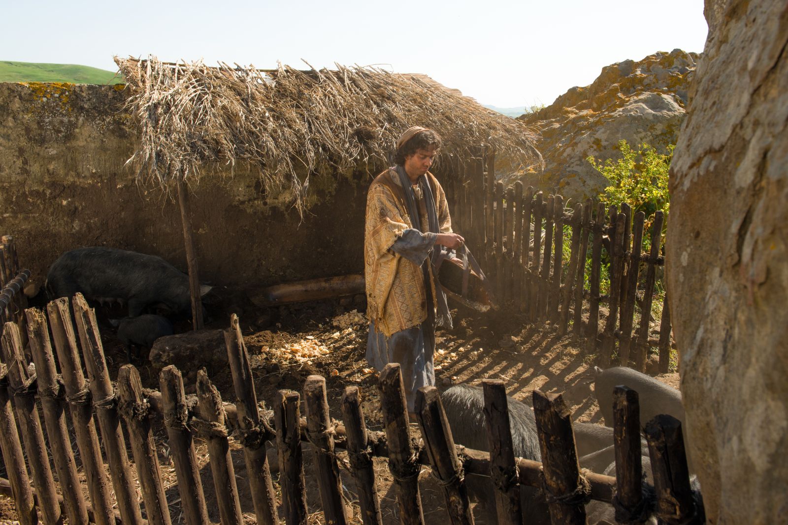 The Younger Son Feeds Swine