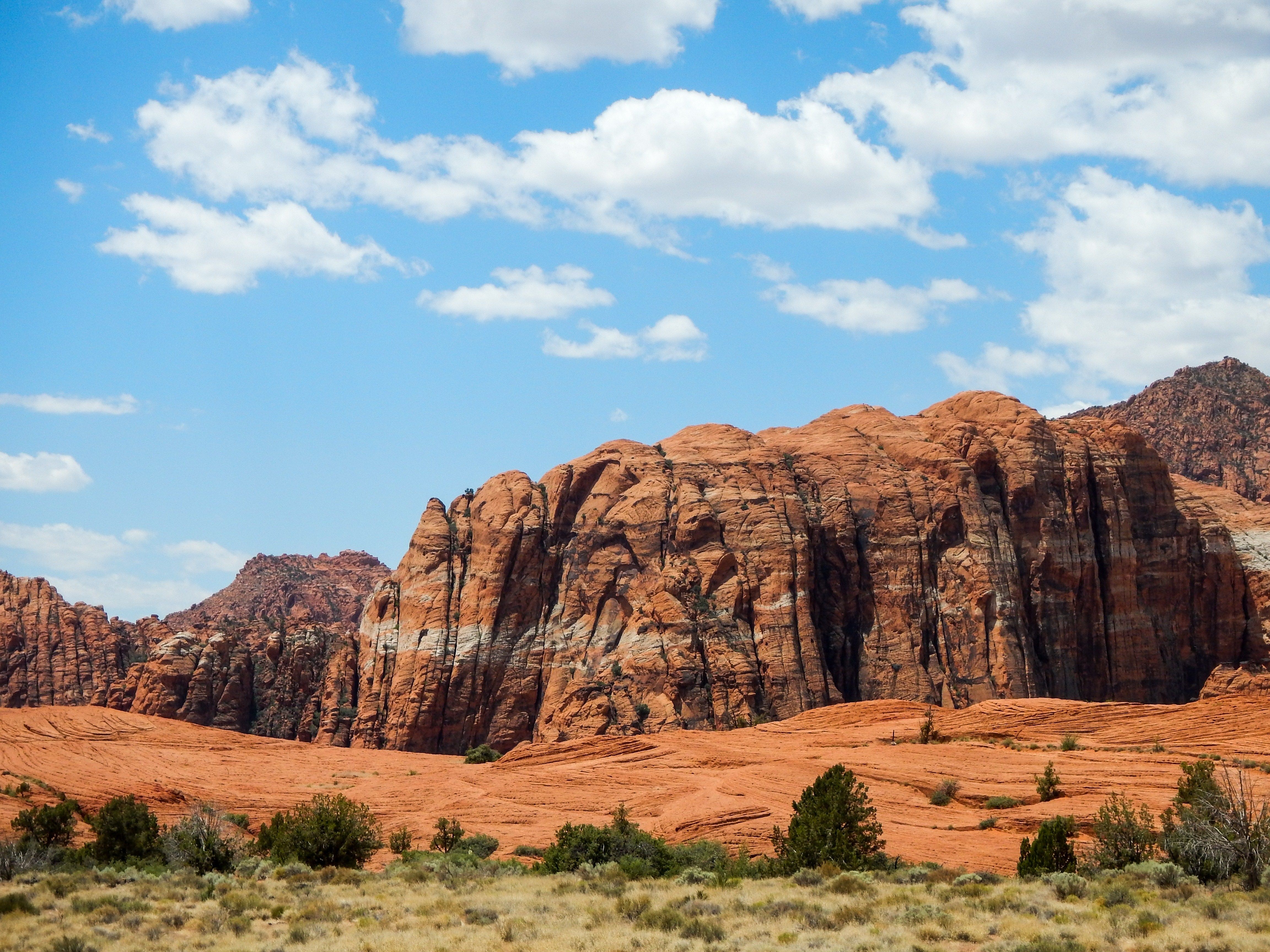 are dogs allowed at snow canyon state park