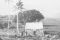 Hawaiian grass hut