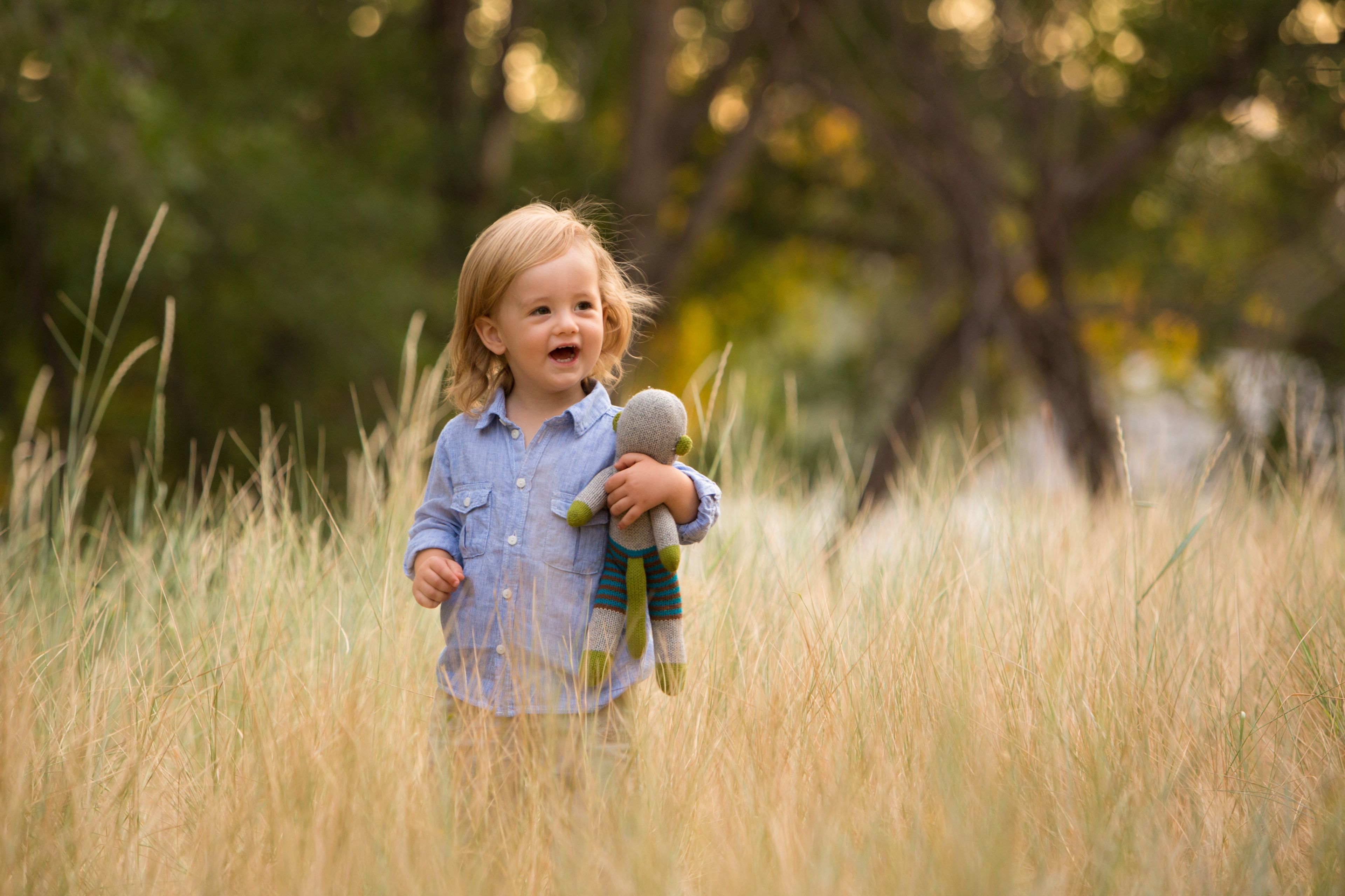 Toddler Boy in a Field.