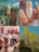 Moses, Moses with tablets, gathering manna, golden calf