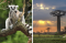 Madagascar