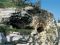 Holy Land