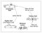 Book of Mormon Study Guide for Home-Study Seminary Students