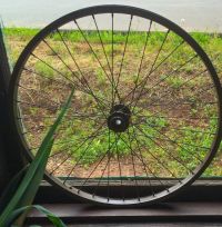 Bicycle wheels