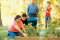 Gardening