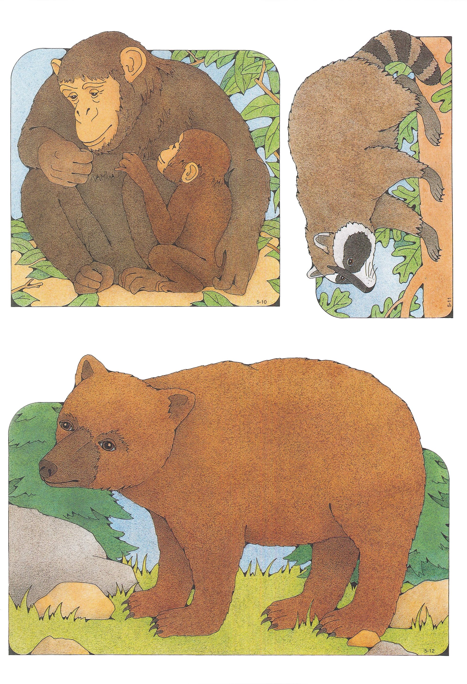 Primary Visual Aids: Cutouts 5-10, Mother and Baby Chimpanzee; 5-11 ...