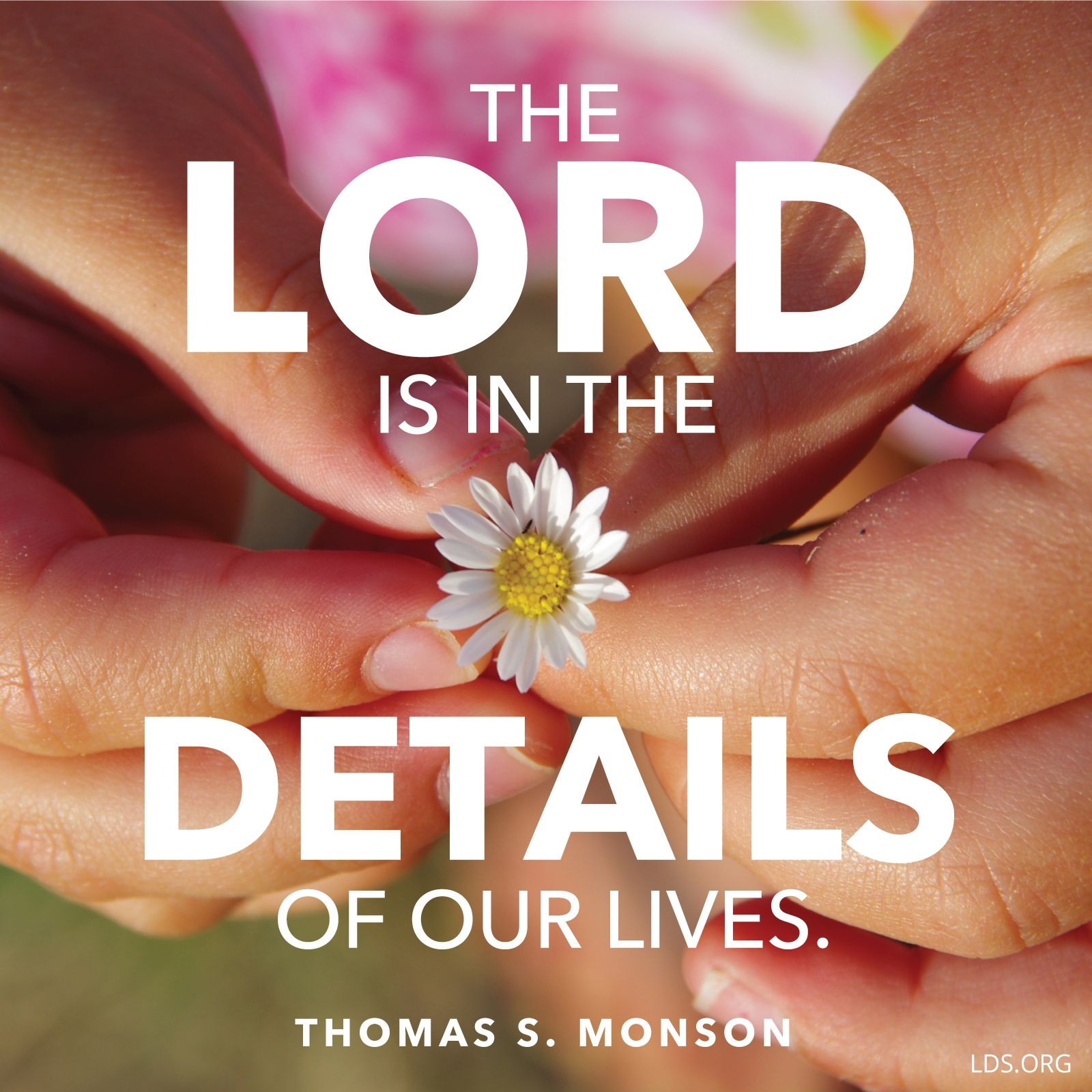 “The Lord is in the details of our lives.”—President Thomas S. Monson, “Consider the Blessings”