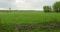 Leman Copley Farm