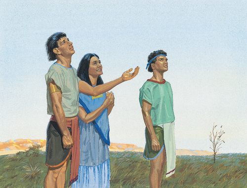 people looking up at sky