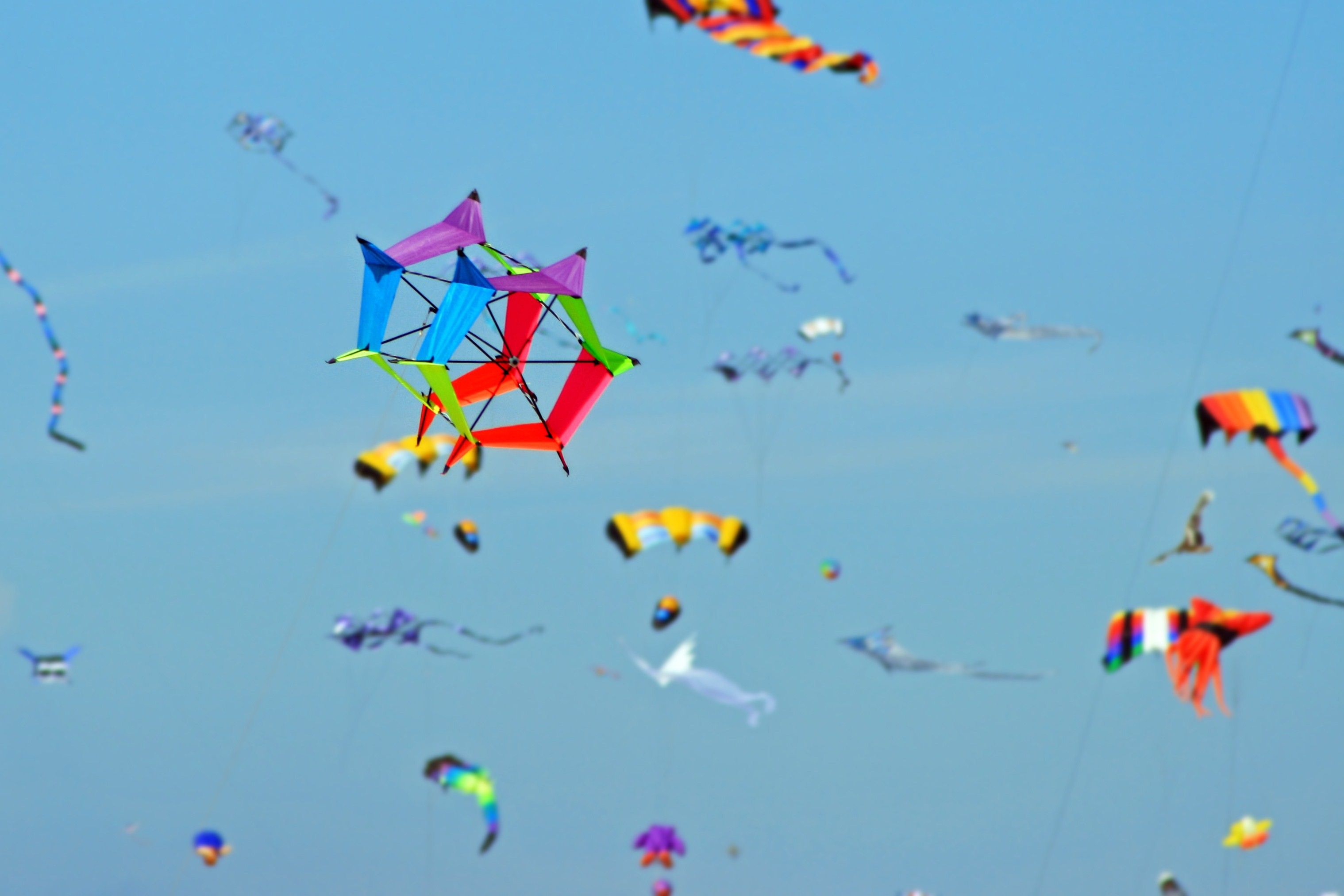 Free photo: Kite - Activity, Outdoor, Holiday - Free Download - Jooinn