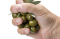Olives
