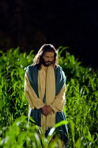 Life of Jesus Christ: Jesus Warns Peter and Offers the Intercessory Prayer