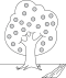 Trees and leaves